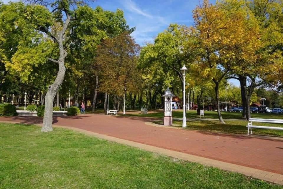 Apartman Buba Palić Buitenkant foto