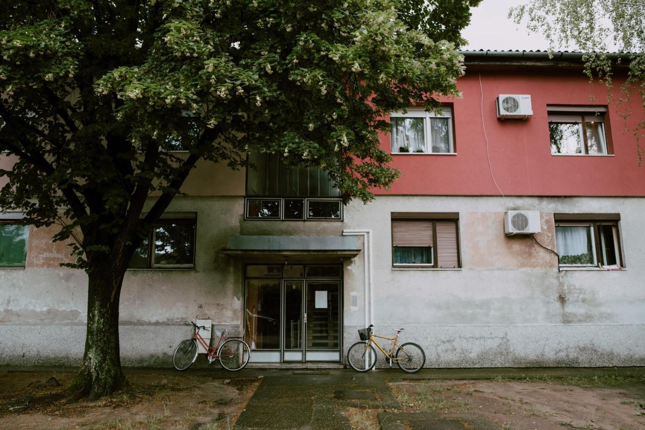 Apartman Buba Palić Buitenkant foto