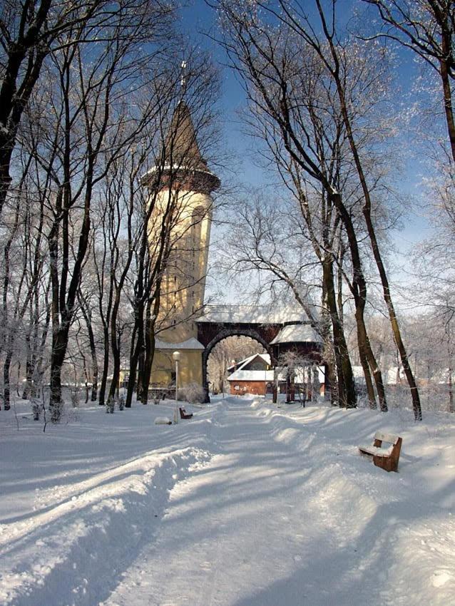 Apartman Buba Palić Buitenkant foto